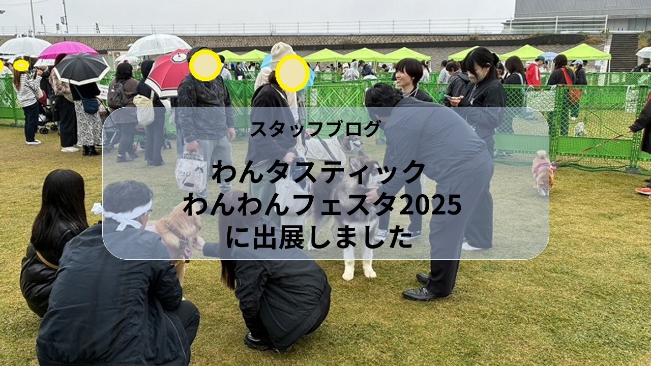 わんタスティック わんわんフェスタ2025に出展しました🐾 アイキャッチ画像